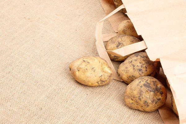 Engelhard´s Kartoffeln Agria